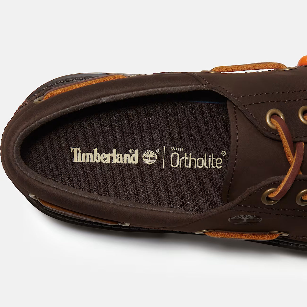 Timberland classico
