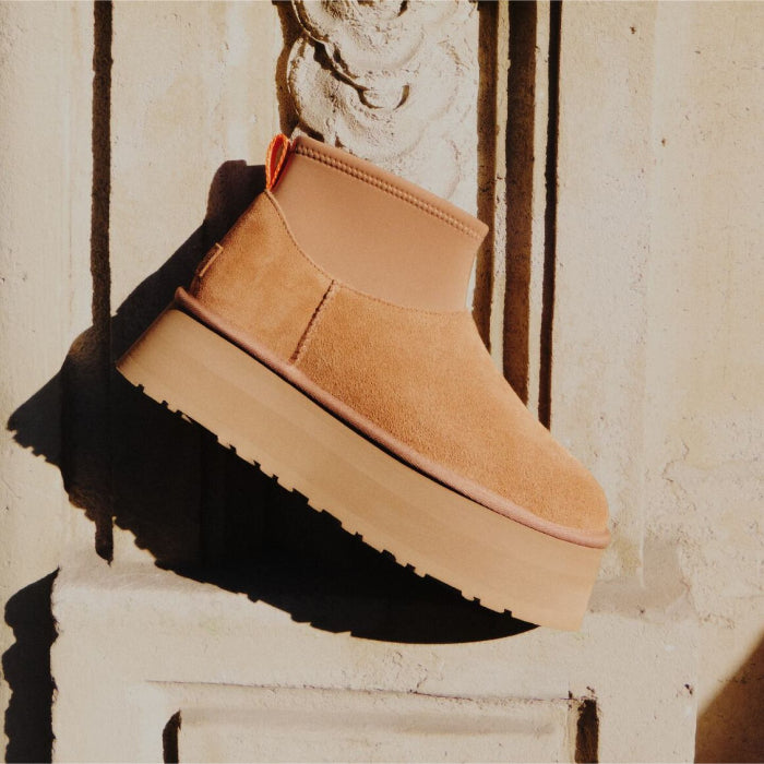 Ugg Dipper